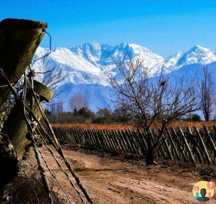 Hotel a Mendoza – 13 opzioni che amiamo e consigliamo