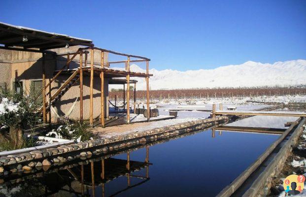 Hotel a Mendoza – 13 opzioni che amiamo e consigliamo