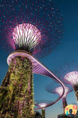 I punti turistici di Singapore non includono roteiro