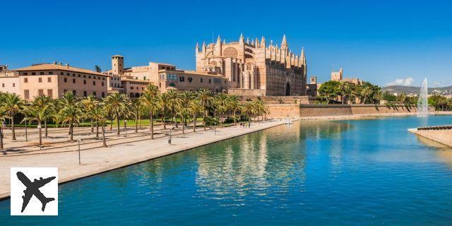 Les 12 choses incontournables à faire à Palma de Majorque