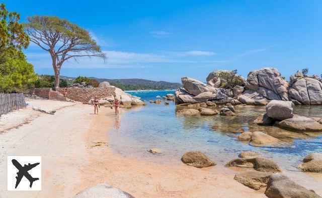 Les 12 plus belles plages de Corse