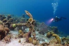 Les 14 plus beaux spots de plongée de Cuba