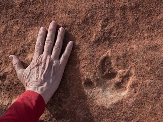 The Wave, Arizona, EE. UU.: todo lo que necesita saber antes de viajar