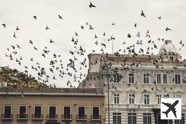 Dans quel quartier loger à Quito ?