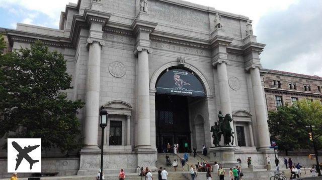 Musée d’histoire naturelle à New York : billets, tarifs, horaires