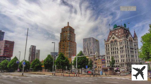 Dans quel quartier loger à Rotterdam ?