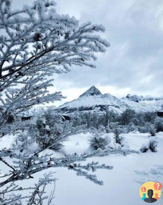 Quando andare a Ushuaia – Meteo e cosa fare in ogni stagione