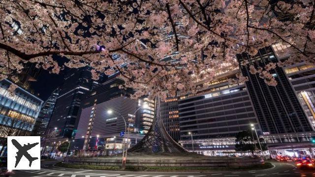 Dans quel quartier loger à Nagoya ?