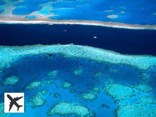 39 magnifiques photos des récifs coralliens en danger dans le monde