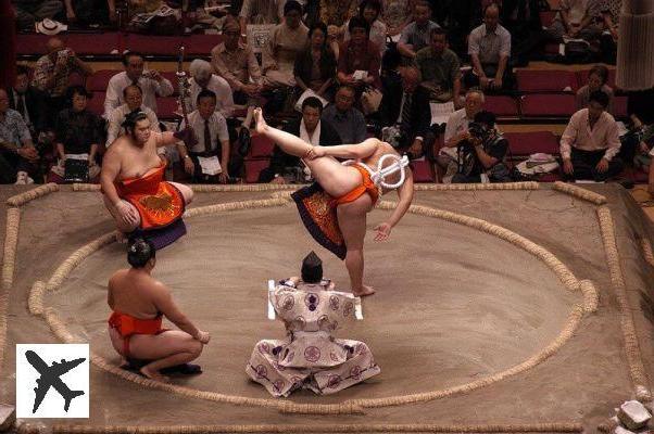 Assistez à un tournoi de Sumo à Tokyo avec dîner « chankonabe »