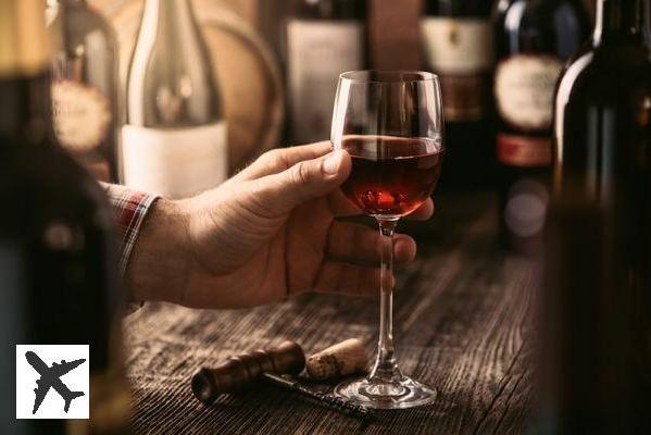 Où faire une dégustation vin autour de Toulouse ?