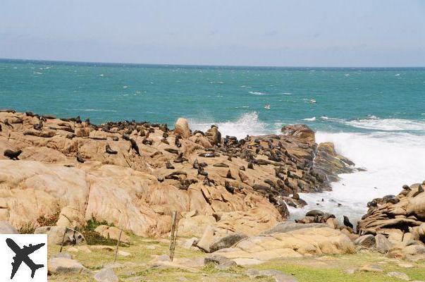 Qué ver y hacer en Cabo Polonio