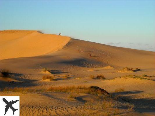 Qué ver y hacer en Cabo Polonio