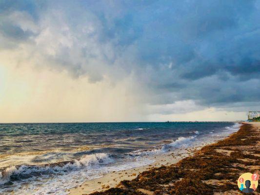 Fort Lauderdale – Guía completa de la Venecia norteamericana