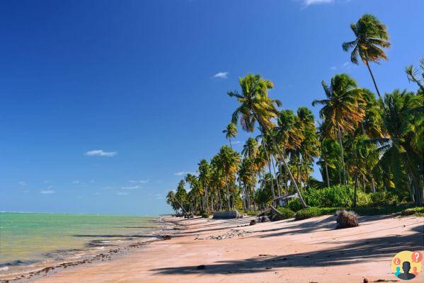 Spiaggia di Patacho – Guida di viaggio