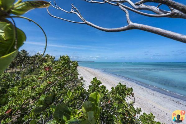 Playa Patacho – Guía de viaje