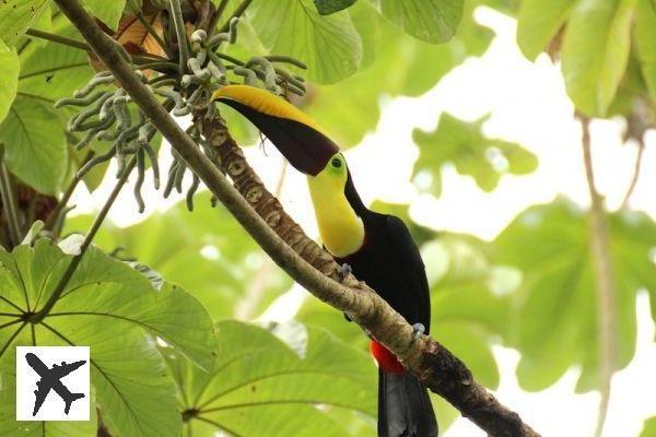 Les 20 plus beaux endroits à visiter au Costa Rica