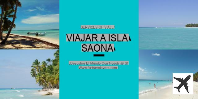 Qué ver y hacer en Isla Saona