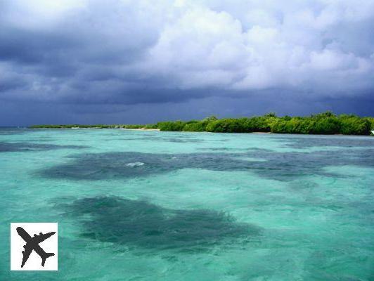 Qué ver y hacer en Isla Saona