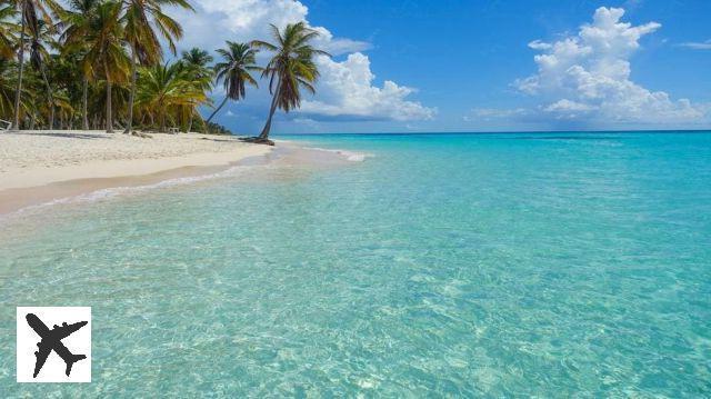 Qué ver y hacer en Isla Saona