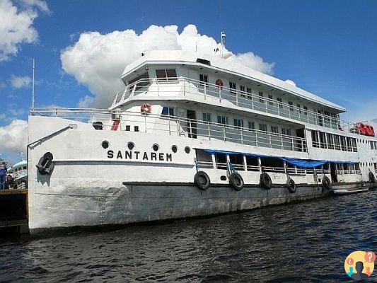 Qué hacer en Manaus – Los mejores tours de la región