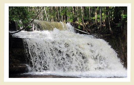 Que faire à Manaus – Les meilleurs tours de la région