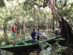 Que faire à Manaus – Les meilleurs tours de la région