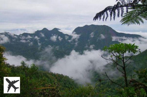 Qué ver y hacer en las Islas Salomón