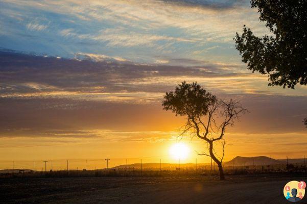 Descubre a qué países puedes entrar sin visado