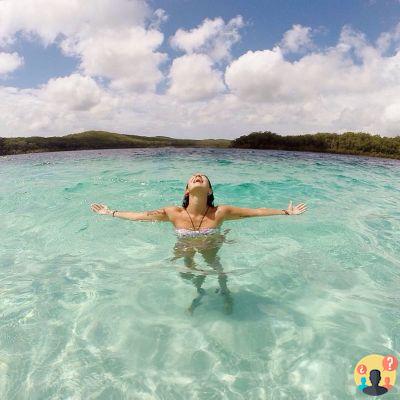 Fraser Island en Australie – Guide de voyage