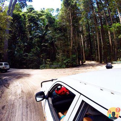 Fraser Island en Australie – Guide de voyage