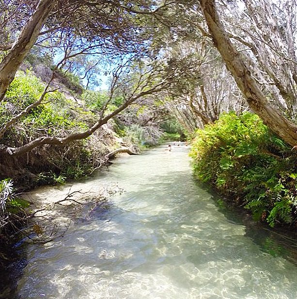 Fraser Island in Australia – Travel Guide