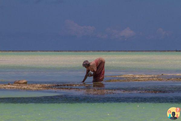 Zanzibar – Un paradiso nascosto in Tanzania