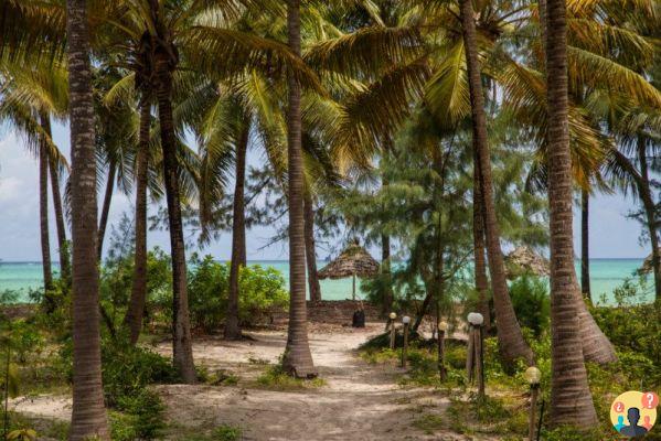 Zanzibar – A hidden paradise in Tanzania
