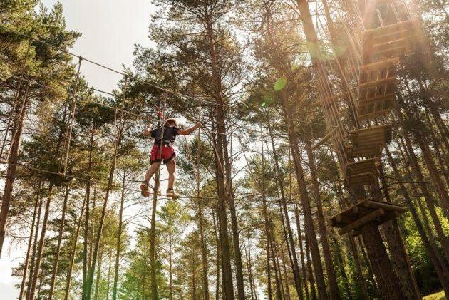 6 endroits où faire de l’accrobranche en Île-de-France