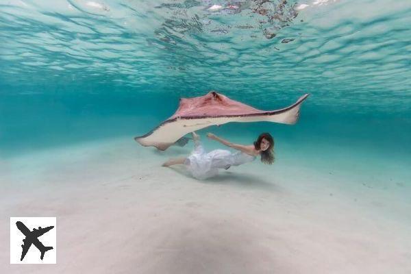 Bahamas Girl: underwater photos of a young girl in the Bahamas