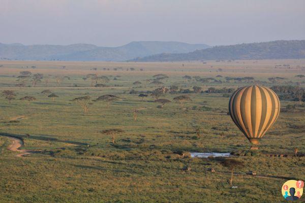 Balade en montgolfière dans le Serengeti, Tanzanie