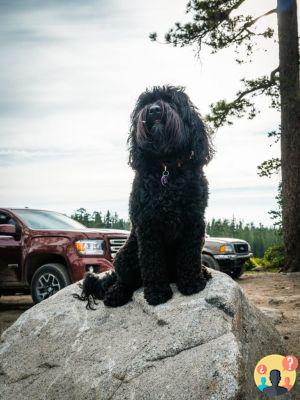 Lake Tahoe - Tout pour planifier votre voyage