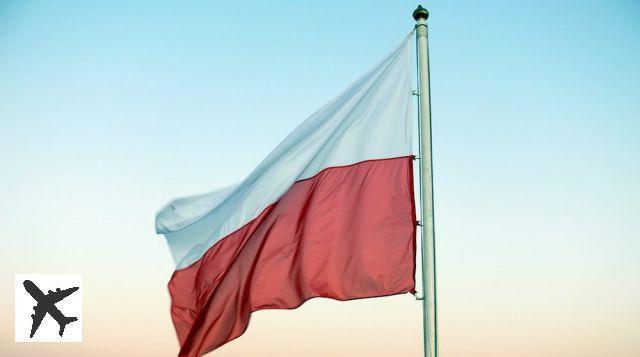 Top 6 des meilleures applications pour apprendre le polonais