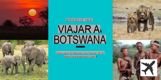 Qué ver y hacer en Botsuana