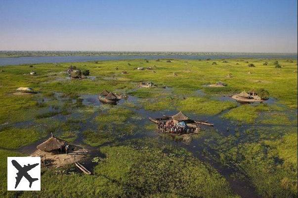 The impenetrable swamps of the Sudd in Southern Sudan