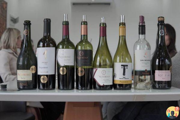 Vignobles en Uruguay – Les 13 meilleurs à mettre sur votre itinéraire