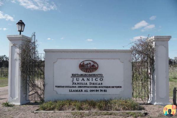 Cantine in Uruguay – Le 13 migliori da inserire nel tuo itinerario