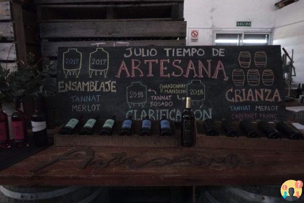 Vignobles en Uruguay – Les 13 meilleurs à mettre sur votre itinéraire