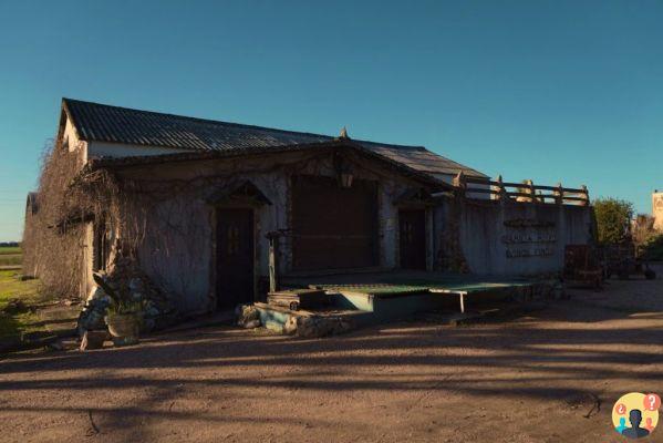 Cantine in Uruguay – Le 13 migliori da inserire nel tuo itinerario