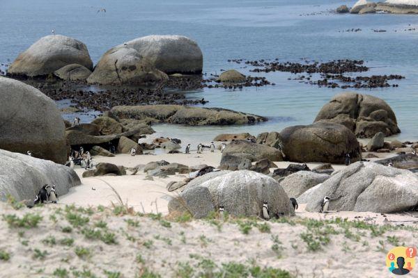 Itinerario Garden Route in Sud Africa