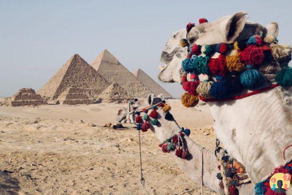 Cosa fare al Cairo – 11 attrazioni da non perdere in città