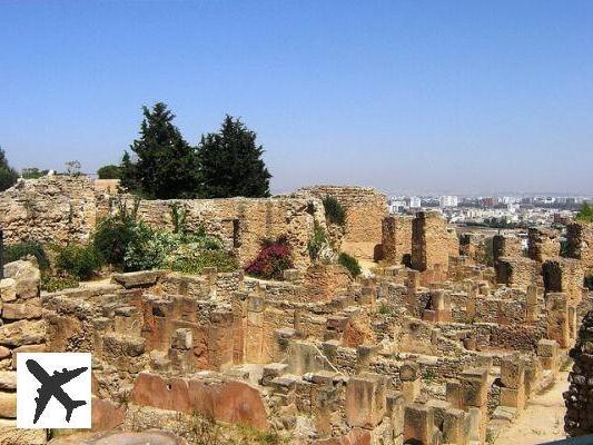 Les 10 choses incontournables à faire à Tunis