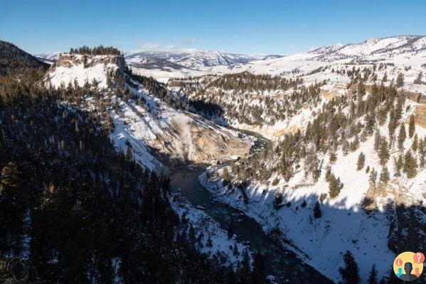 Parco Nazionale di Yellowstone negli Stati Uniti