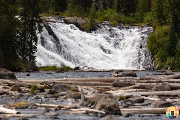 Yellowstone National Park in the USA